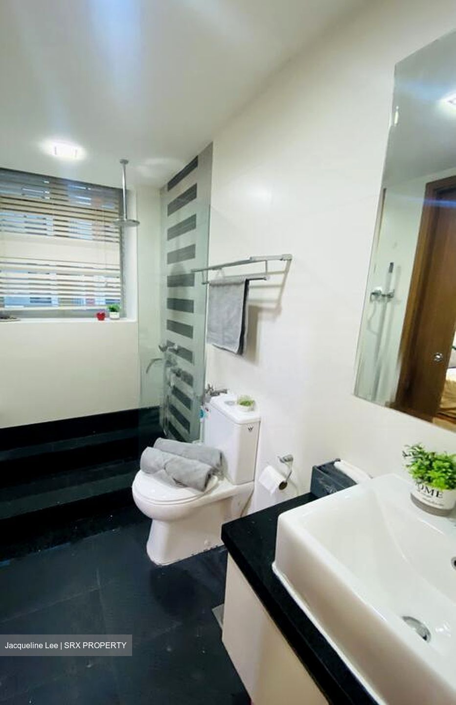 Rhapsody On Mount Elizabeth (D9), Apartment #503772351